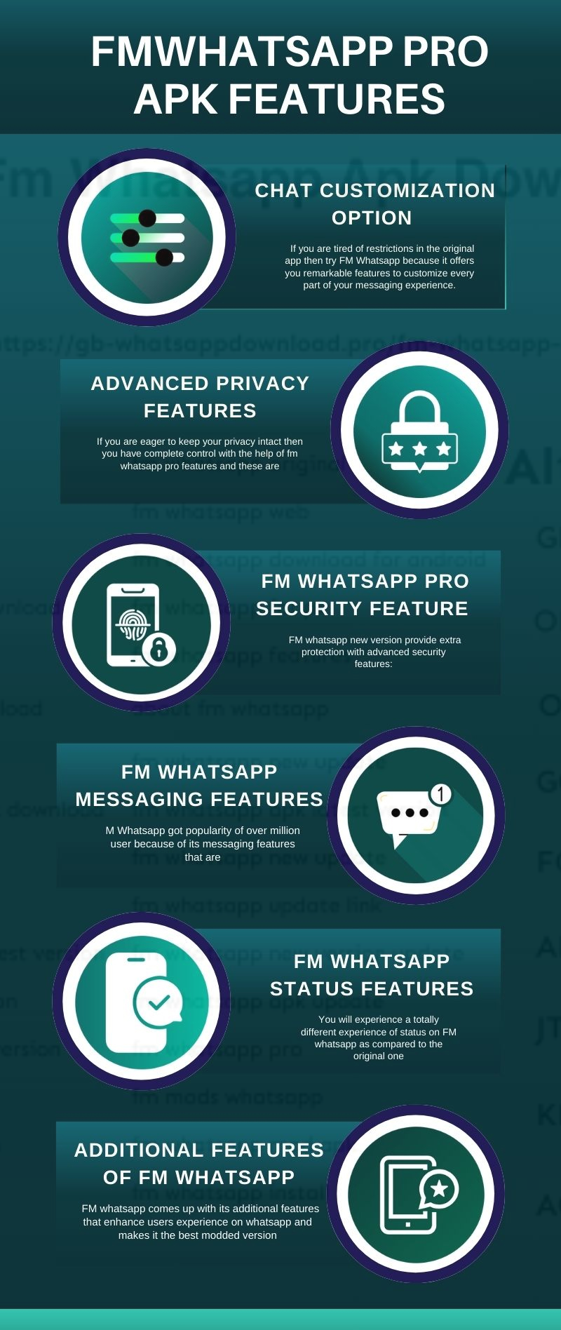 Infographic FM WHATSAPP