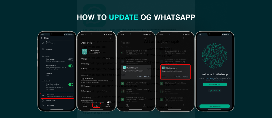 How to update OG whatsapp